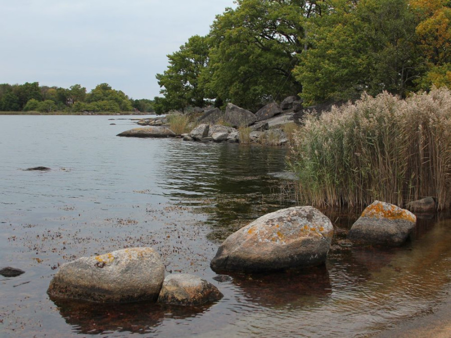 Natuur op Tjärö