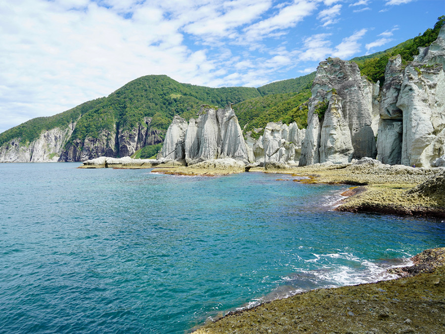 Tohoku Honshu