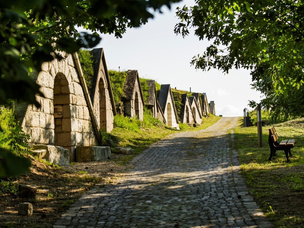 Tokaj Gomboshegy