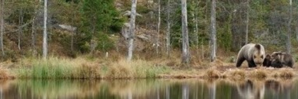 Top foto voor Top 10 mooie natuurplekken