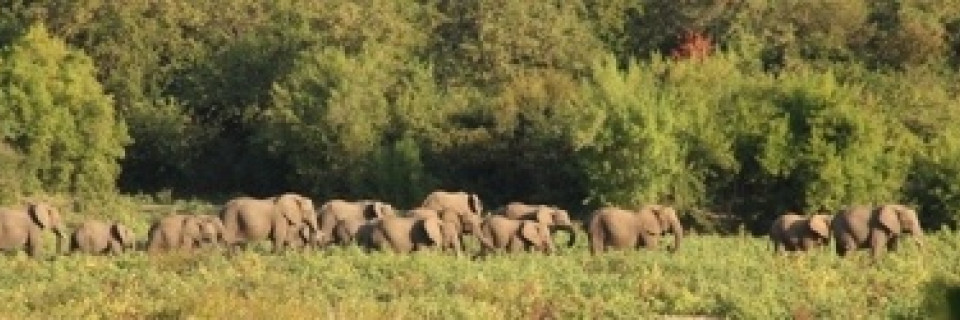 Top foto voor Top 10 Nationale Parken in Afrika