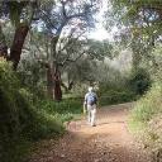 Afbeelding voor Topo-Aktief - Wandelvakantie Spanje