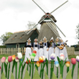 Afbeelding voor Get Your Guide - Tours Volendam