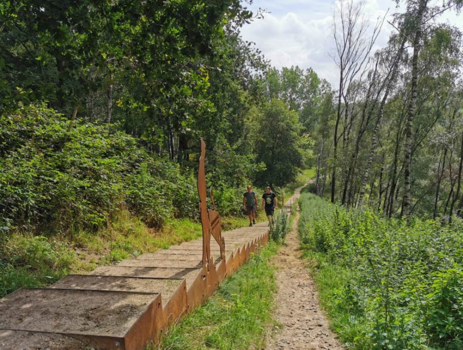 Lunterse Bos op de Veluwe