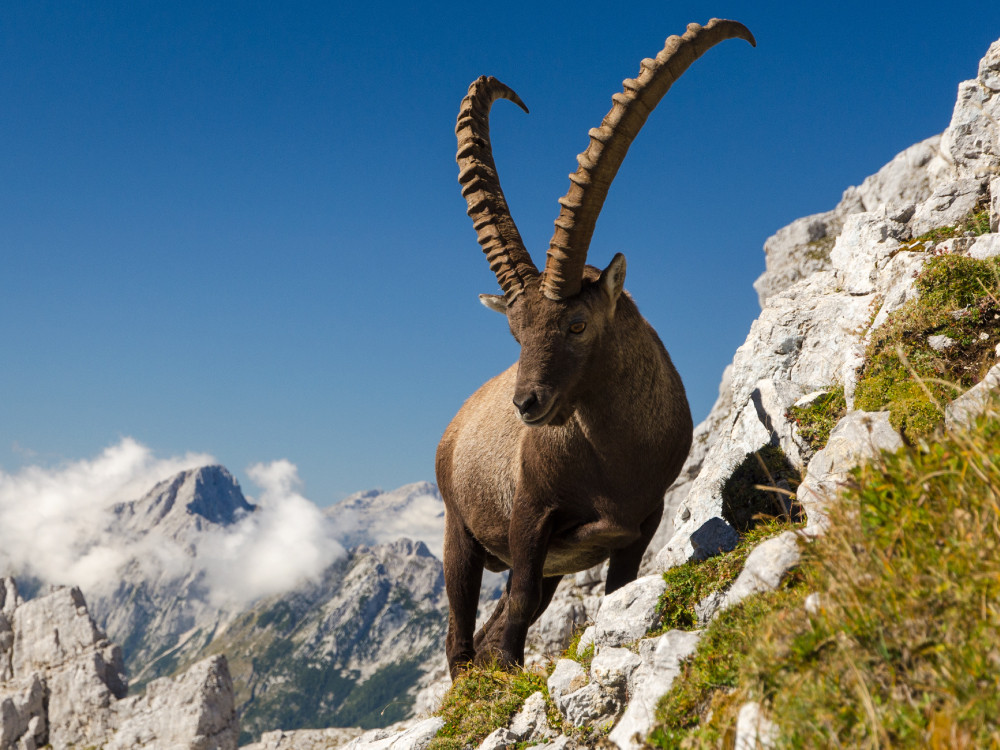 Wandelen in Triglav NP