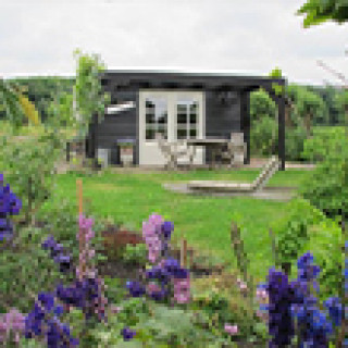 Afbeelding voor Natuurhuisje - Tuinhuis Delft