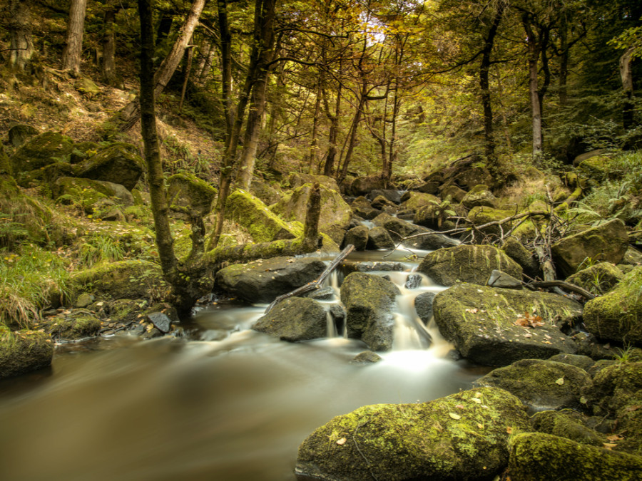 Padley Gorge