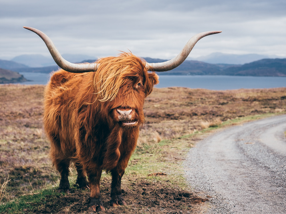 Isle of Skye