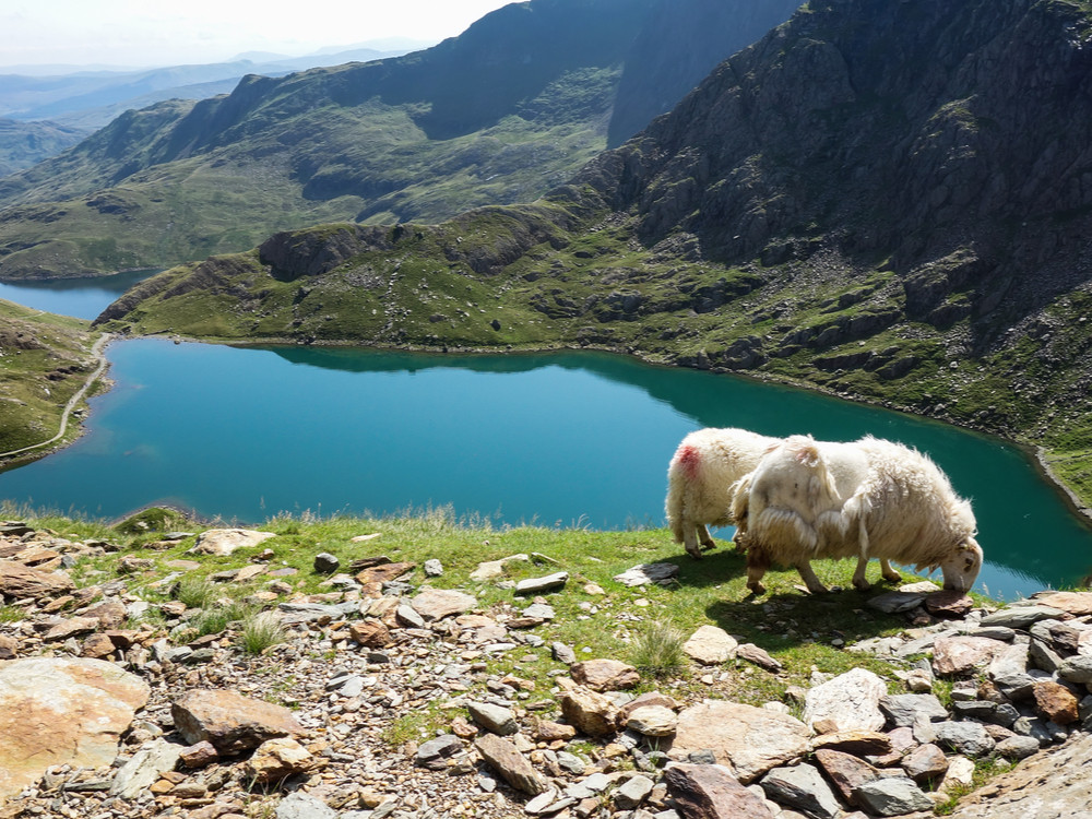 Snowdonia