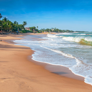 Afbeelding voor Mooie stranden in Sri Lanka