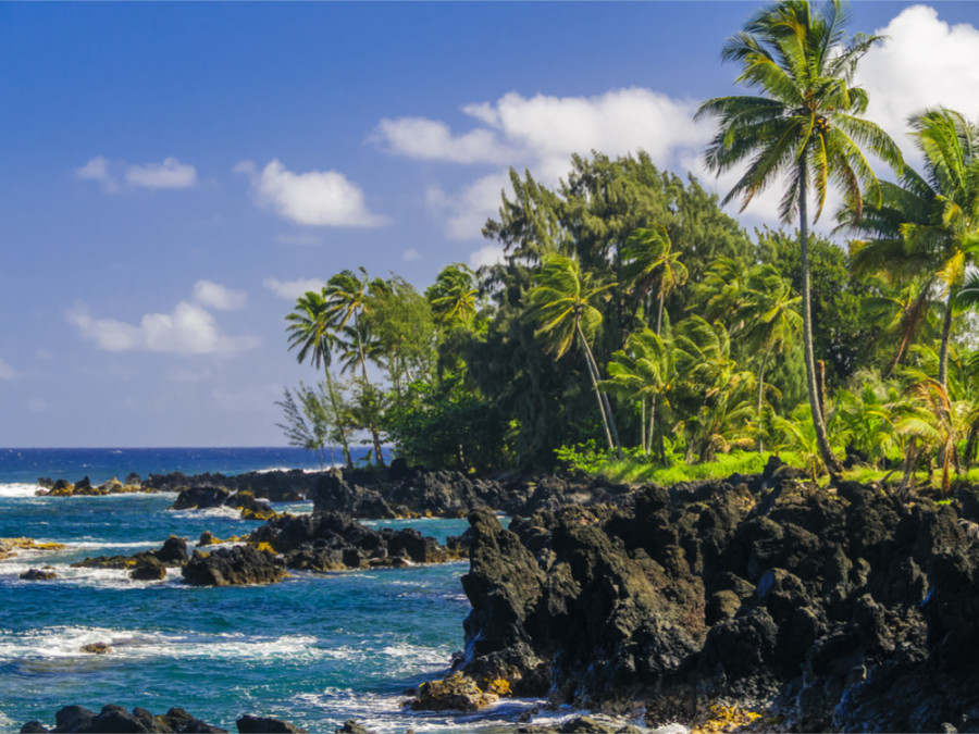 Natuur op Hawaii