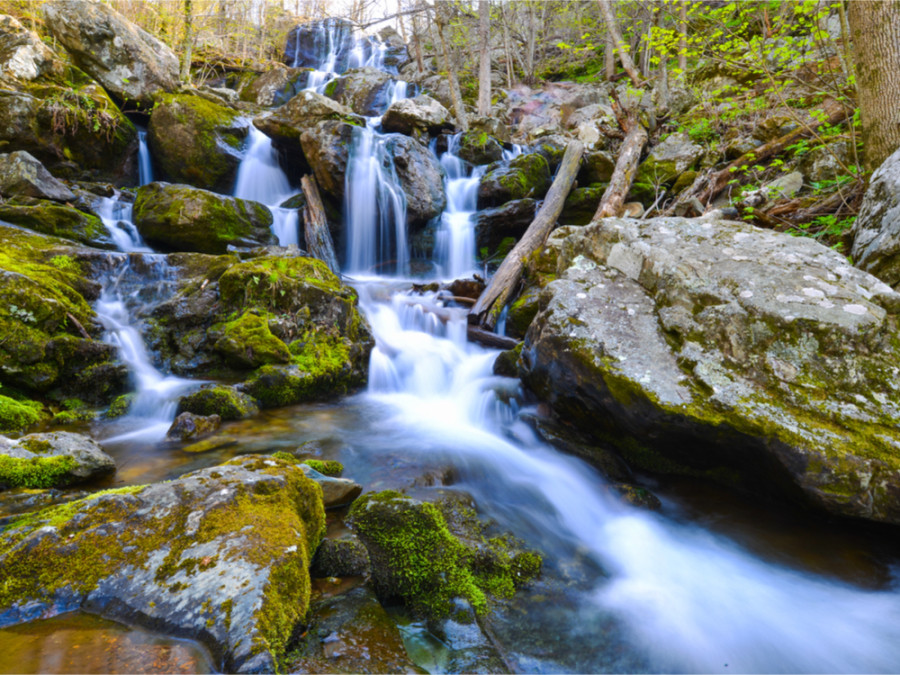 Shenandoah National Park