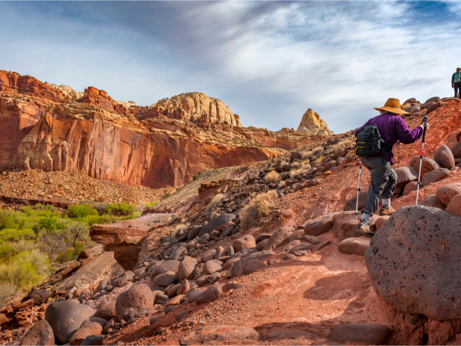 Cohab Canyon trektocht Capitol Reef Cohab Canyon trektocht Capitol Reef