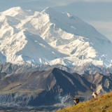 Afbeelding voor Denali National Park