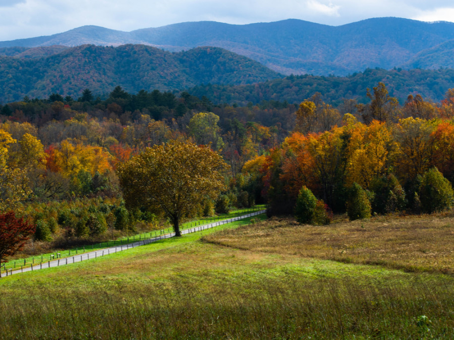 Indian Summer Great Smoky Mountains