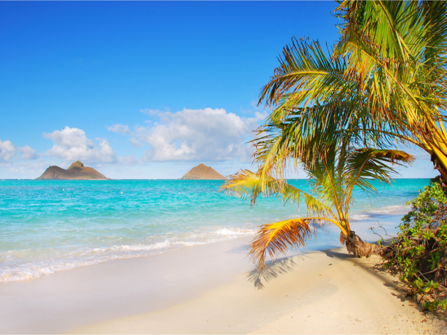 Lanikai beach strand Hawaii