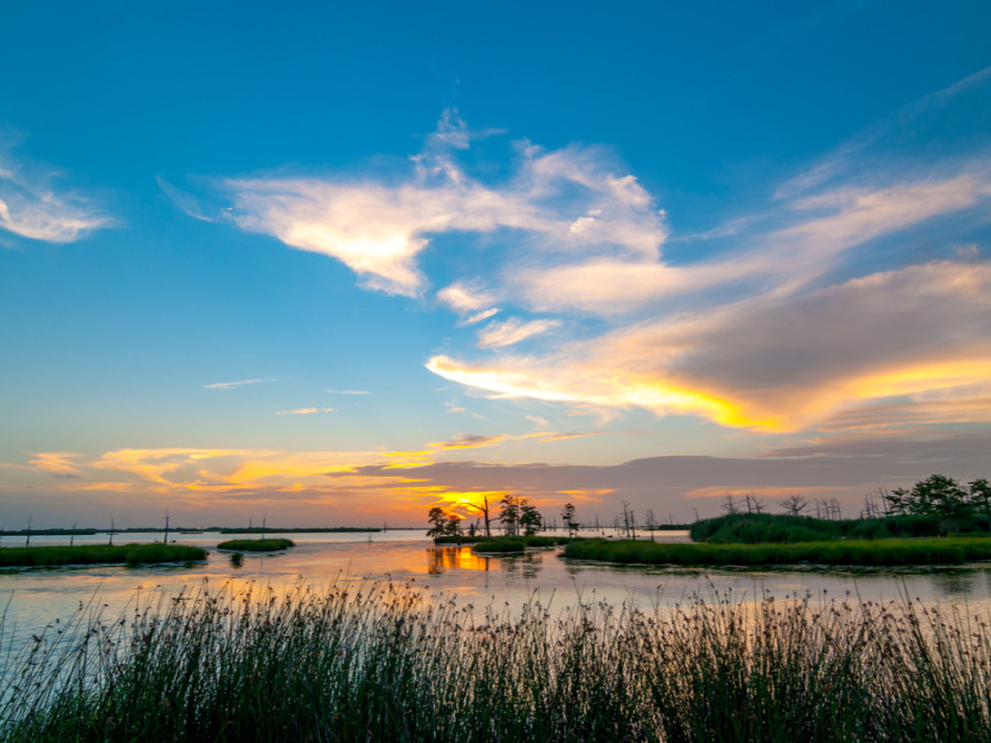 Moeras in Louisiana