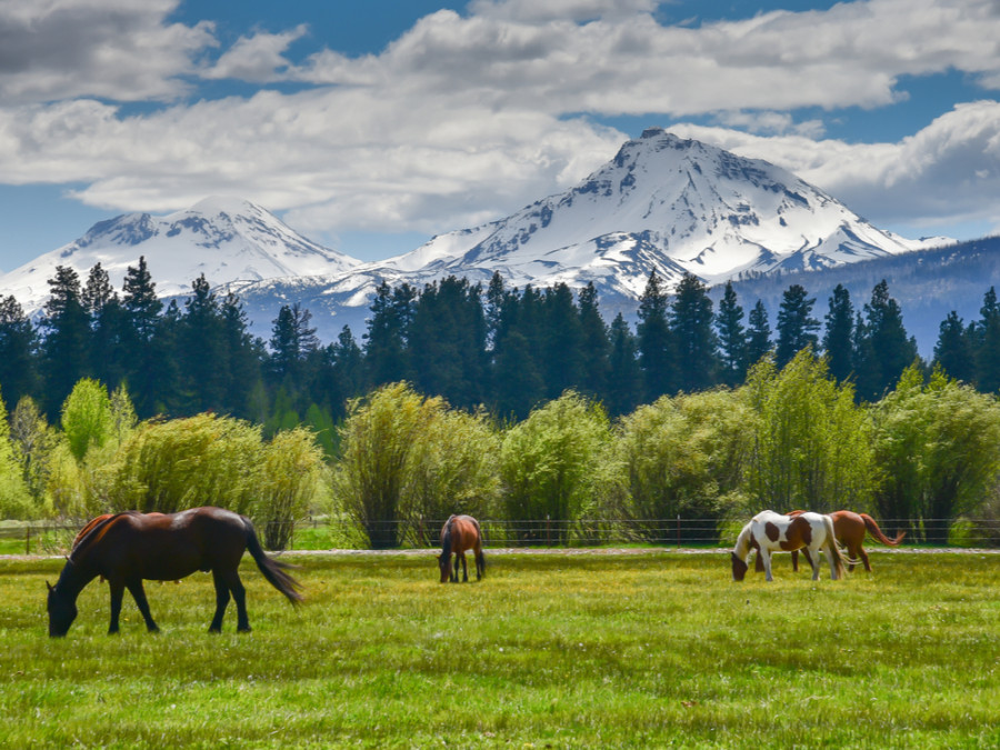 Cascade Mountains