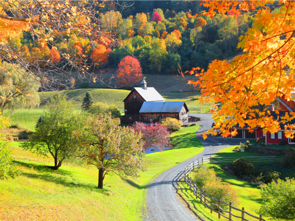 Indian Summer Oostkust