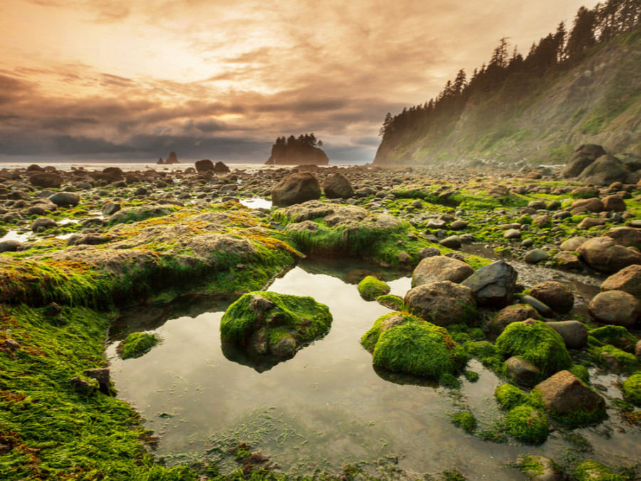 Natuur Washington State