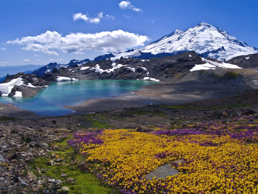 Mt Baker