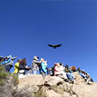 Afbeelding voor Van Verre - Colca Canyon + Titicaca