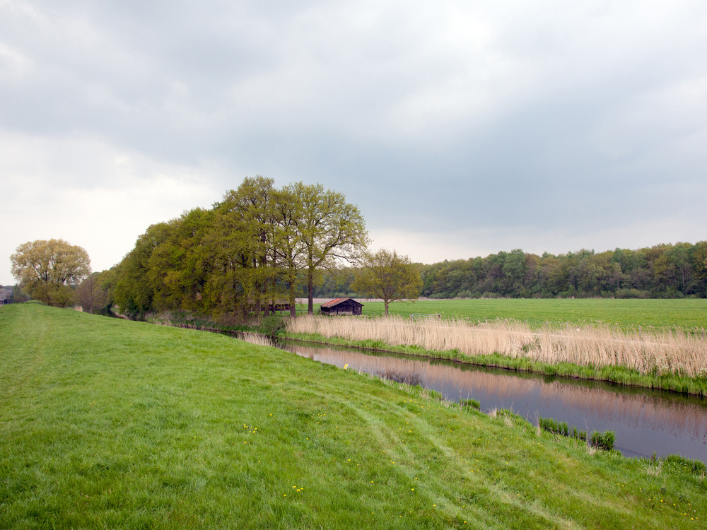 Natuur rond Veenendaal