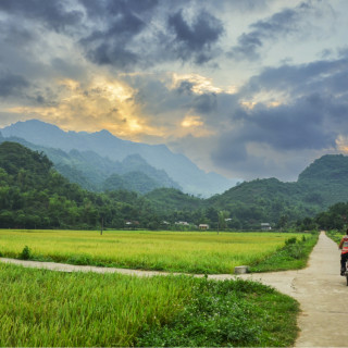 Afbeelding voor Fietsen in Vietnam