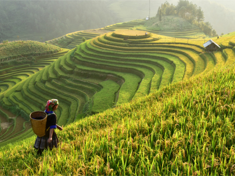 Natuurreis Vietnam