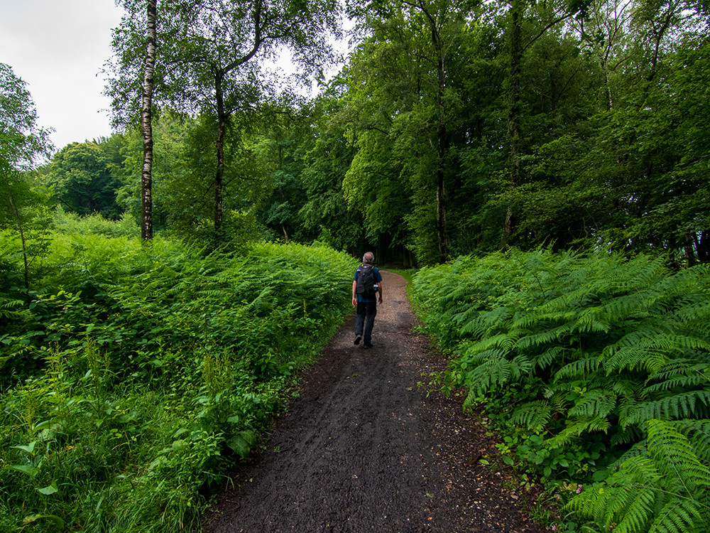 Vijlenerbos wandelen