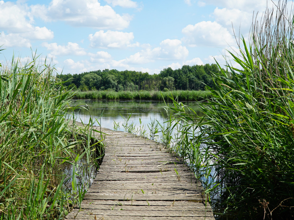 Wandelen over water bij het Vinne