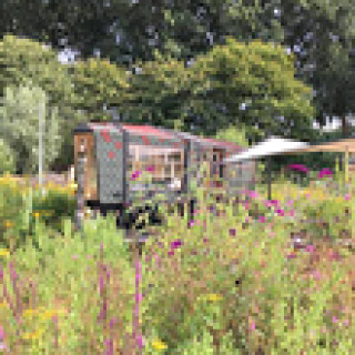Afbeelding voor Natuurhuisje - Overnacht tussen de vlinders