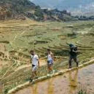 Afbeelding voor VNC Asia Travel - Wandelen en fietsen