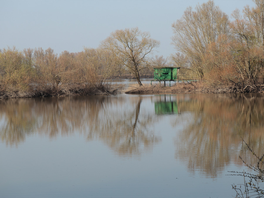 Vogelkijkhut Duursche Waarden