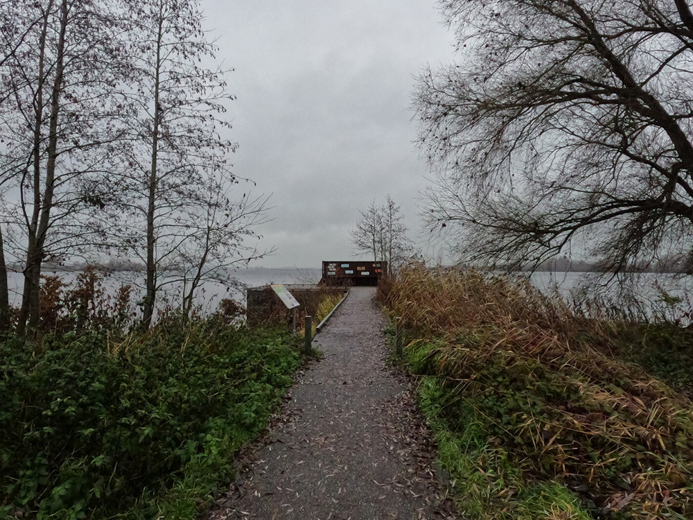 Vogelkijkscherm Reeuwijkse Plassen