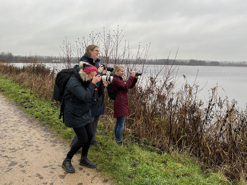 Vogels fotograferen bij de Reeuwijkse Plassen