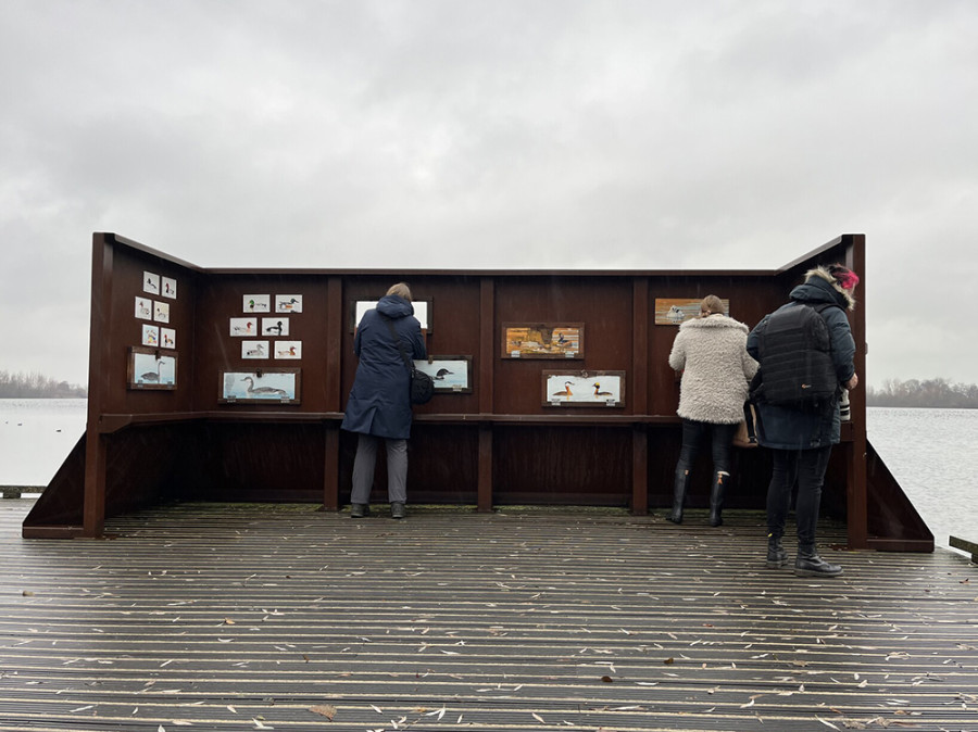 Vogels spotten Reeuwijkse Plassen