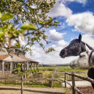 Afbeelding voor B&B De Vossenbarm
