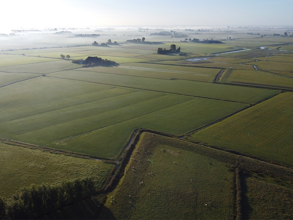 Polders Waddenkust