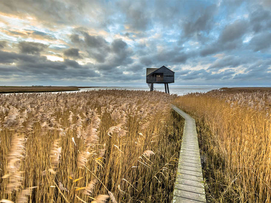 Waddenkust in Groningen