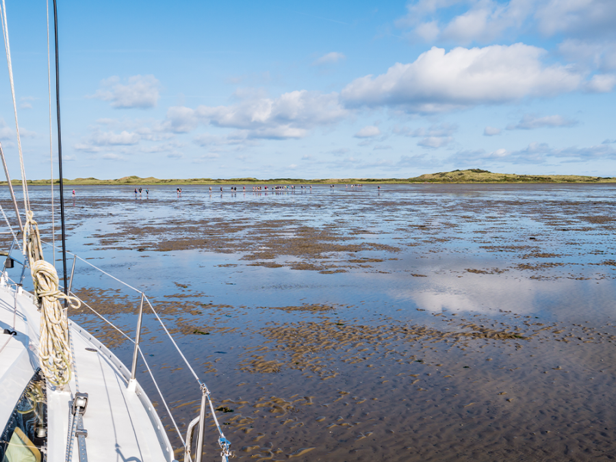 Wadlopen Friesland Wadlopen Friesland