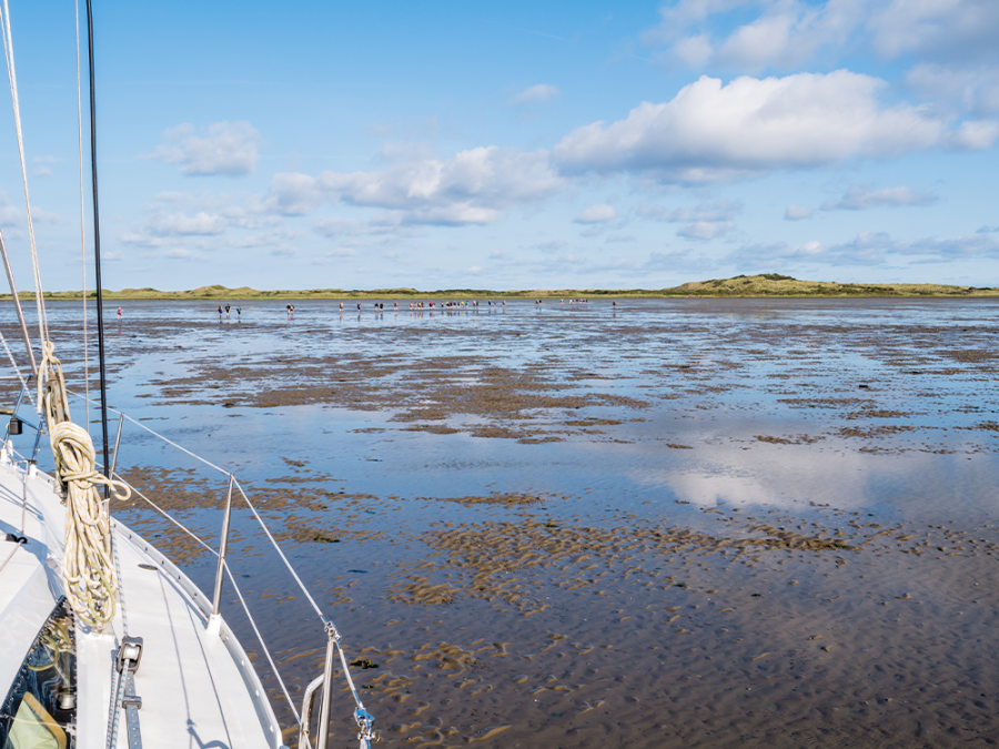 Wadlopen Friesland