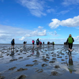 Afbeelding voor Wadlopen