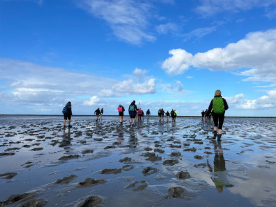 Afbeelding bij Wadlopen