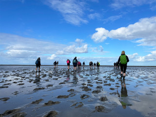 Afbeelding voor Wadlopen