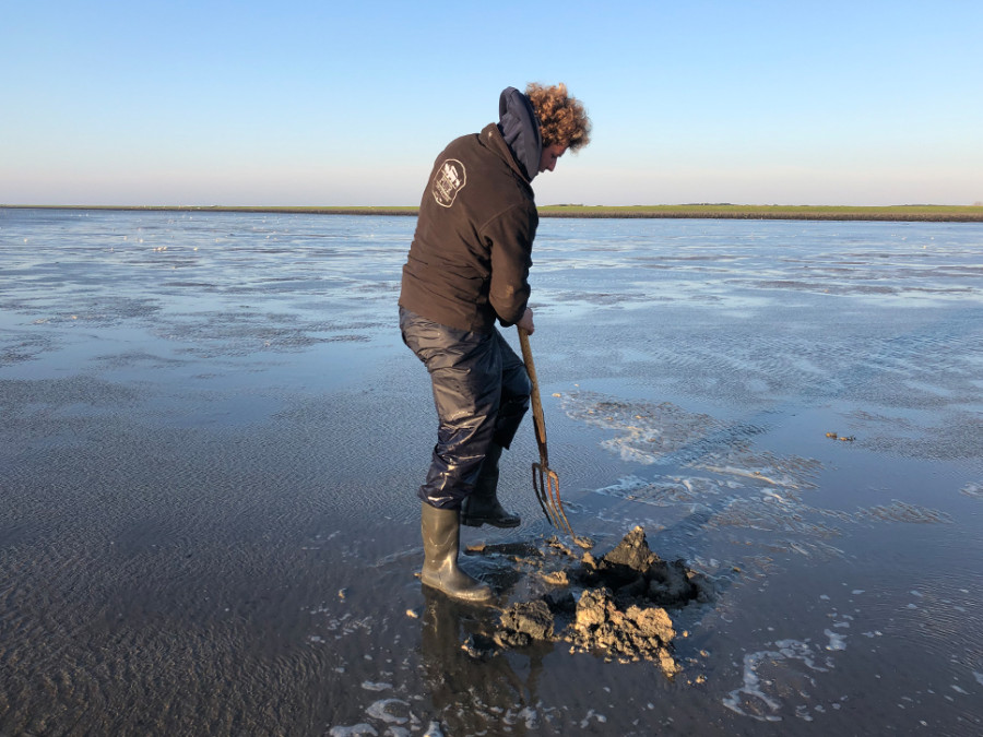 Kleding wadlopen