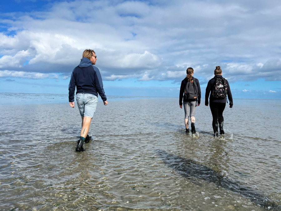 Wadlopen bij Pieterburen