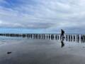 Wadlopen