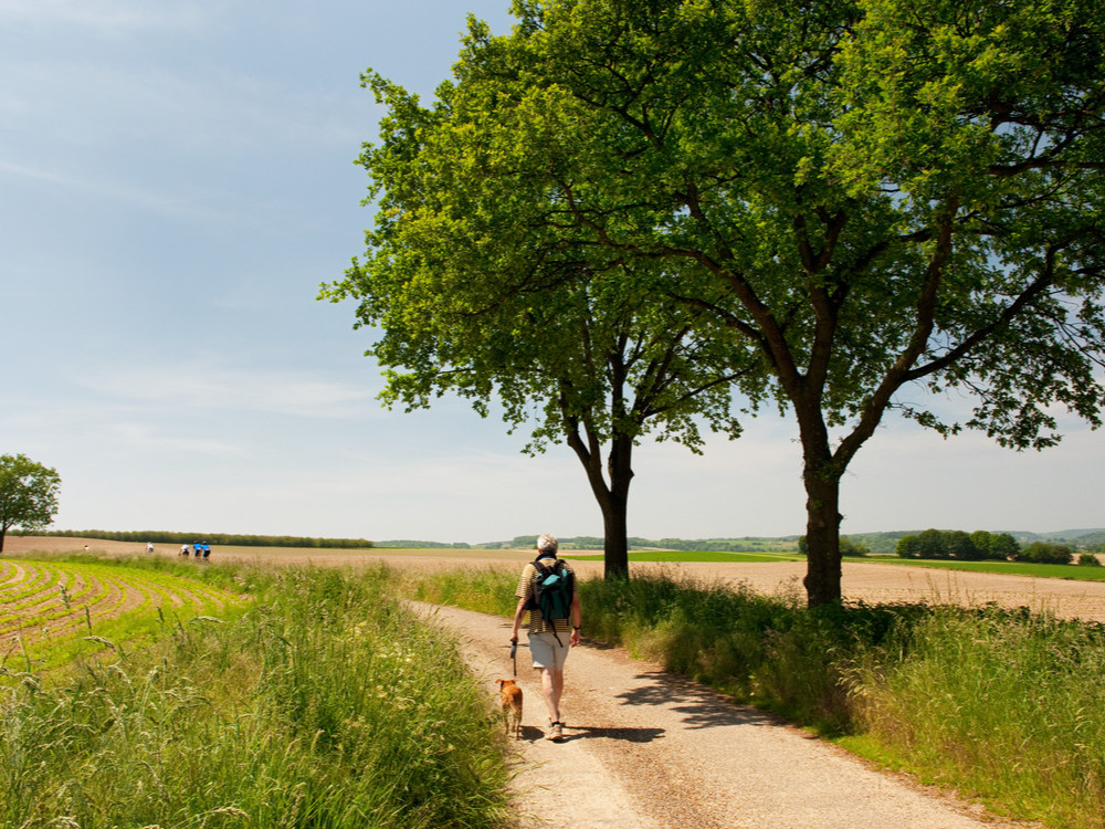 Nederlandse wandelvakantie met hond