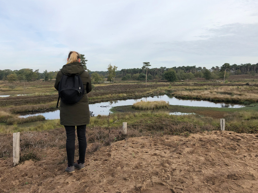 Mooiste wandelroutes in Gelderland Mooiste wandelroutes in Gelderland